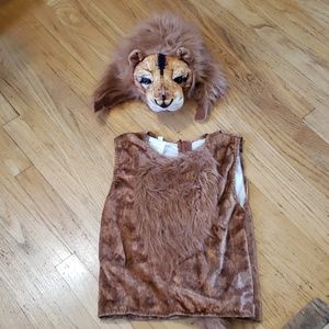 Lion costume